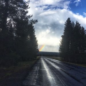 Meet your Posher, Raelene